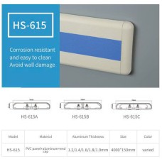 Tay vịn hành lang chống va đập HS-615